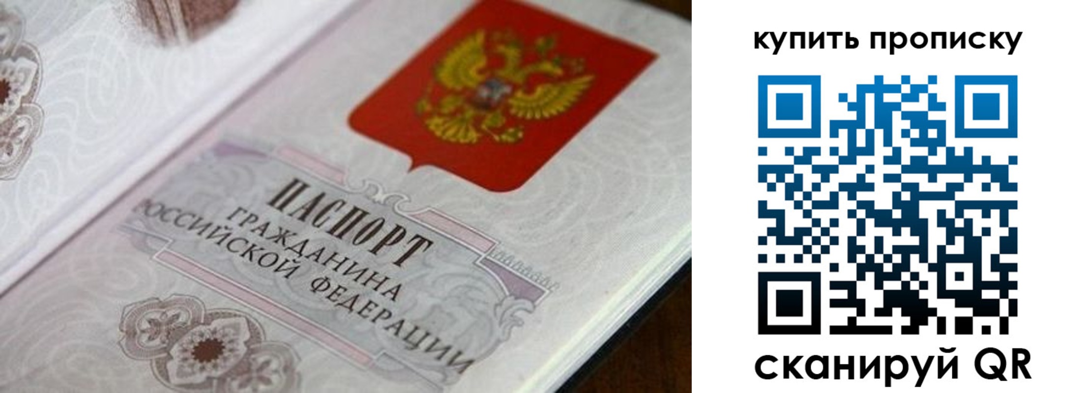 миграционный учет в Мончегорске