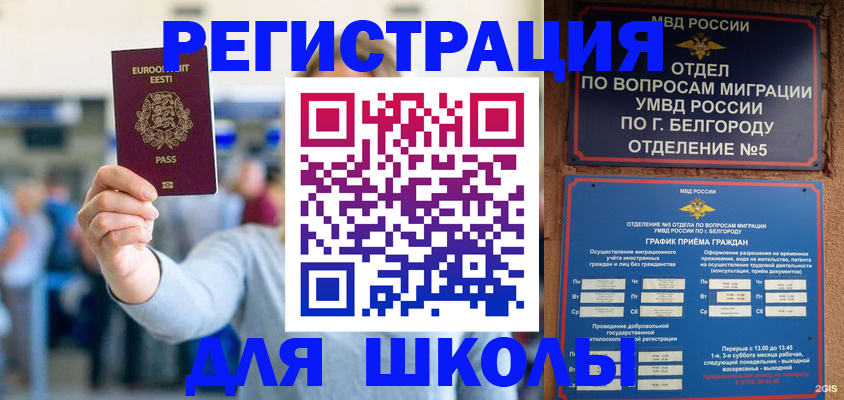 регистрация в Мончегорске